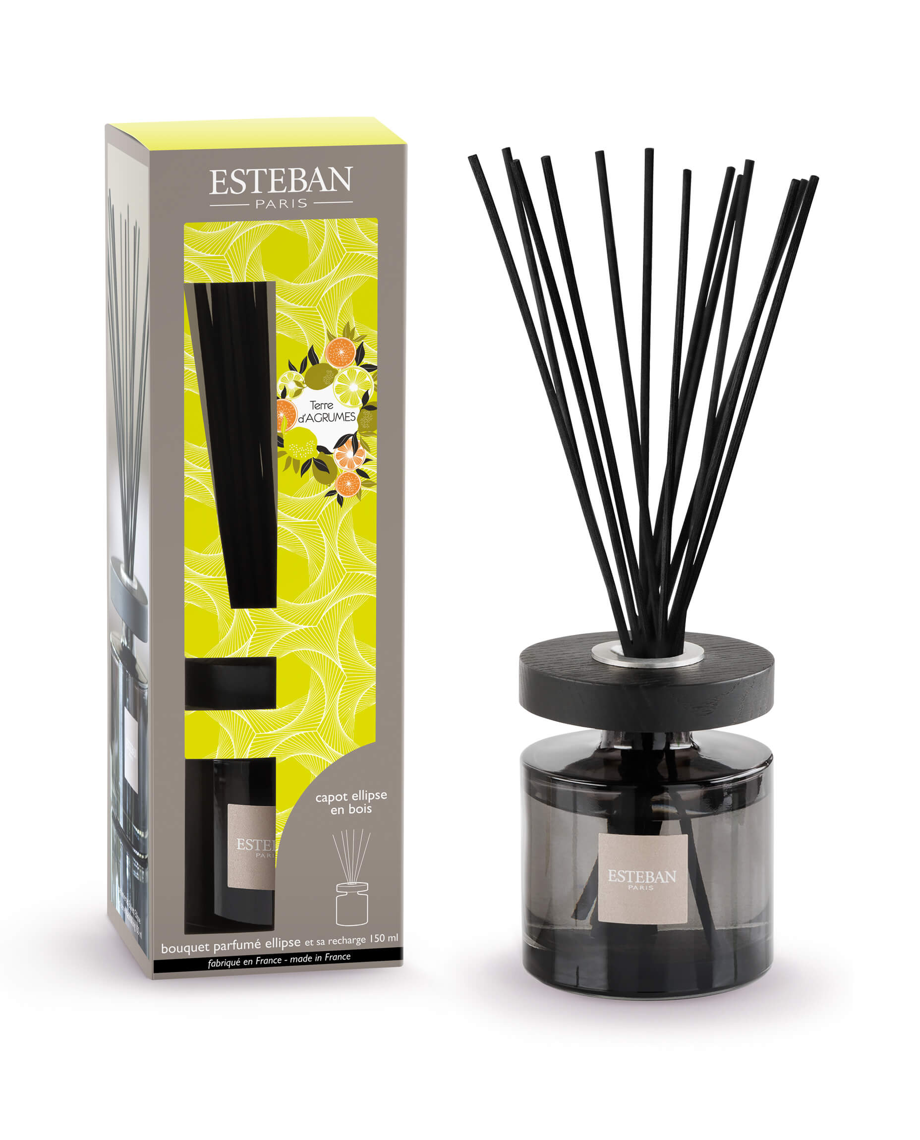 Levně Esteban Paris Parfums CLASSIC – TERRE D`ARGUMES TYČINKOVÝ DIFUZÉR 150 ml 150 ml