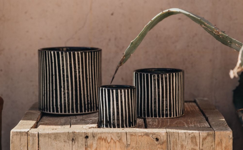 Kolekce Zebra & Nomade