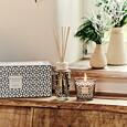 BAOBAB MY FIRST BAOBAB - Gift Box - Gentleman