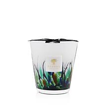 product Baobab Collection RAINFOREST – AMAZONIA DUFTKERZE  1000 g 