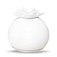 Galeo NELUMBO ULTRAZVUKOVÝ DIFUZÉR 50 ml