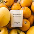 Cereria Mollá BOUTIQUE CREMA – BERGAMOTTO DI CALABRIA VONNÁ SVIEČKA  230 g