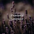 CERERIA MOLLA - Premium -  difuzér - Provence Lavender - 100 ml - krémová