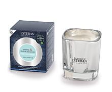 Esteban Paris Parfums ELESSENS – SANDALWOOD & COCONUT BLOSSOM VONNÁ SVIEČKA  180 g