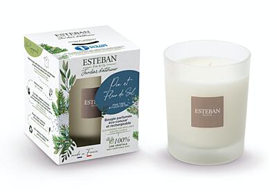 Esteban Paris Parfums NATURE – PINE TREE AND FLEUR DE SEL DUFTKERZE  180 g