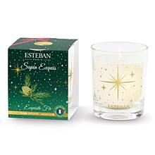 ESTEBAN - SVÍČKA MINI 70 G - VÁNOČNÍ EDICE - exquisite fir