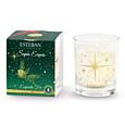 ESTEBAN - SVÍČKA MINI 70 G - VÁNOČNÍ EDICE - exquisite fir