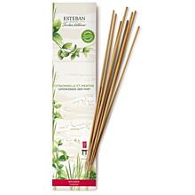 ESTEBAN - VONNÉ TYČINKY - NATURE - lemongrass & mint