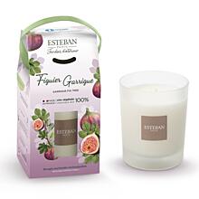 ESTEBAN - SVÍČKA TAKE AWAY 180 G - NATURE - garrigue fig tree