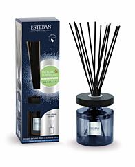 Esteban Paris Parfums ELESSENS – WHITE TEA & YLANG YLANG TYČINKOVÝ DIFUZÉR 200 ml