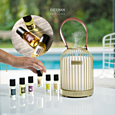Esteban Paris Parfums NATURE – ORANGE AND GREEN TEA AROMAÖL 15 ml