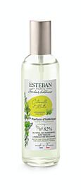 Esteban Paris Parfums NATURE – LEMONGRASS & MINT BYTOVÝ SPREJ  100 ml
