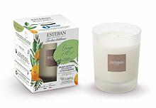 product Esteban Paris Parfums NATURE – ORANGE AND GREEN TEA DUFTKERZE  180 g 