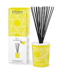 Esteban Paris Parfums CLASSIC – TERRE D`ARGUMES TYČINKOVÝ DIFUZÉR 100 ml