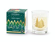 Esteban Paris Parfums Christmas – EXQUISITE FIR VONNÁ SVÍČKA  70 g