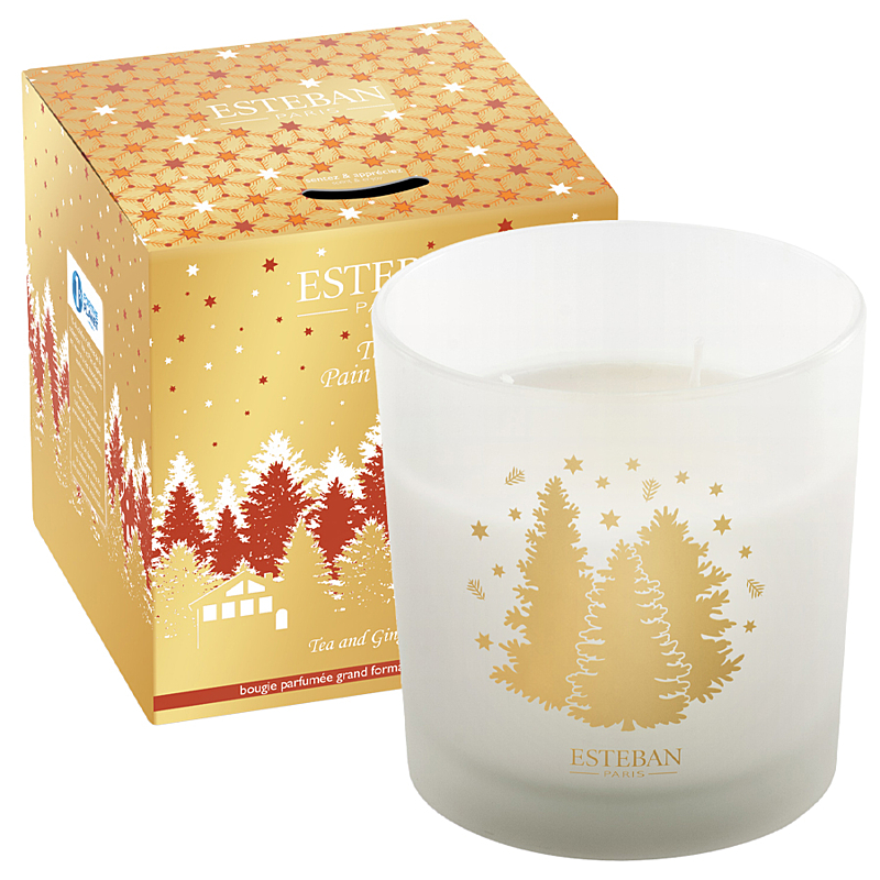 Esteban Paris Parfums Christmas – TEA AND GINGERBREAD VONNÁ SVIEČKA  450 g
