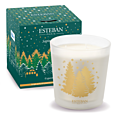 Esteban Paris Parfums CHRISTMAS – EXQUISITE FIR VONNÁ SVÍČKA  450 g