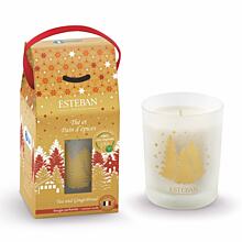 Esteban Paris Parfums CHRISTMAS – TEA AND GINGERBREAD DUFTKERZE  180 g