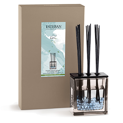 Esteban Paris Parfums CLASSIC – PUR LIN TYČINKOVÝ DIFUZÉR 250 ml