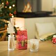 Esteban Paris Parfums CHRISTMAS – AROUND THE FIREPLACE DUFTKERZE  180 g