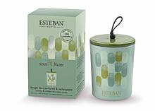 Esteban Paris Parfums CLASSIC – UNDER THE OLIVE TREE VONNÁ SVÍČKA  170 g