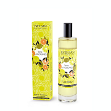 Esteban Paris Parfums CLASSIC – TERRE D`ARGUMES RAUMSPRAY  75 ml