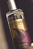 Esteban Paris Parfums CLASSIC – FIGUE BYTOVÝ SPREJ  75 ml