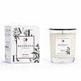 GEODESIS - SVÍČKA 180 G - UNIVERSALS - verbena NEW