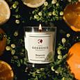 GEODESIS - SVÍČKA 180 G - UNIVERSALS - bergamot NEW