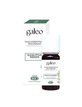 product Galeo OLÉO – EUCALYPTUS RADIATA ESENCIÁLNÍ OLEJ 10 ml 