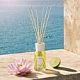 MILLEFIORI - DIFUZÉR 250 ML - MILANO - Lemongrass