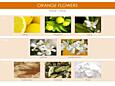 Mr&Mrs Fragrance Easy difuzér - FLEUR D'ORANGER (Pomerančový květ)