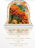 Tartalék töltelék Chando aroma diffúzorba 100 ml - Passion Chrysathemum
